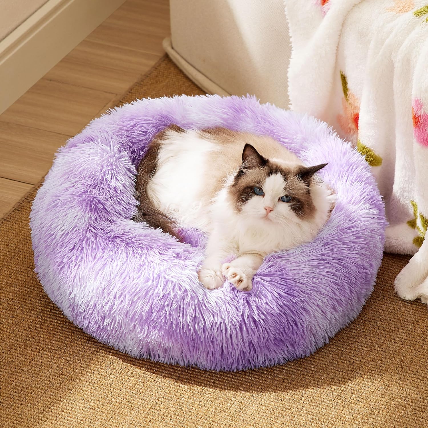 91dg2CTgDvL._AC_SL1500_-2.jpg 91dg2CTgDvL._AC_SL1500_-2.jpg