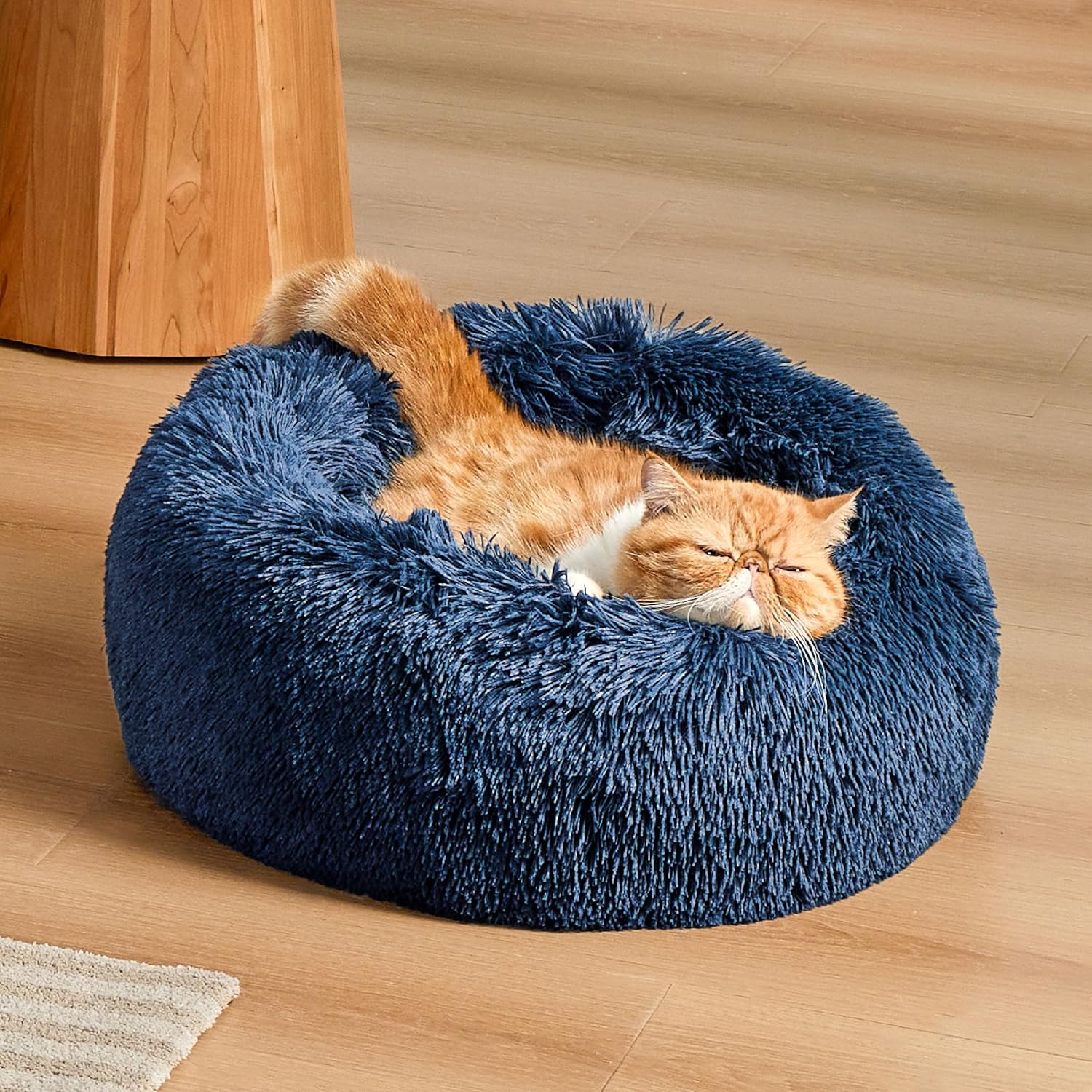 91ed-r3HOL._AC_SL1500_-2.jpg 91ed-r3HOL._AC_SL1500_-2.jpg