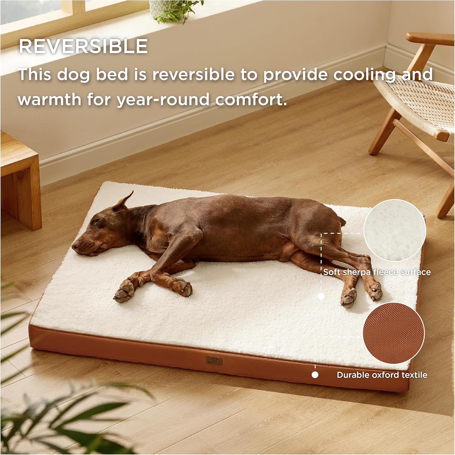 91gCrlZkDdL._AC_SL1500_.jpg 91gCrlZkDdL._AC_SL1500_.jpg