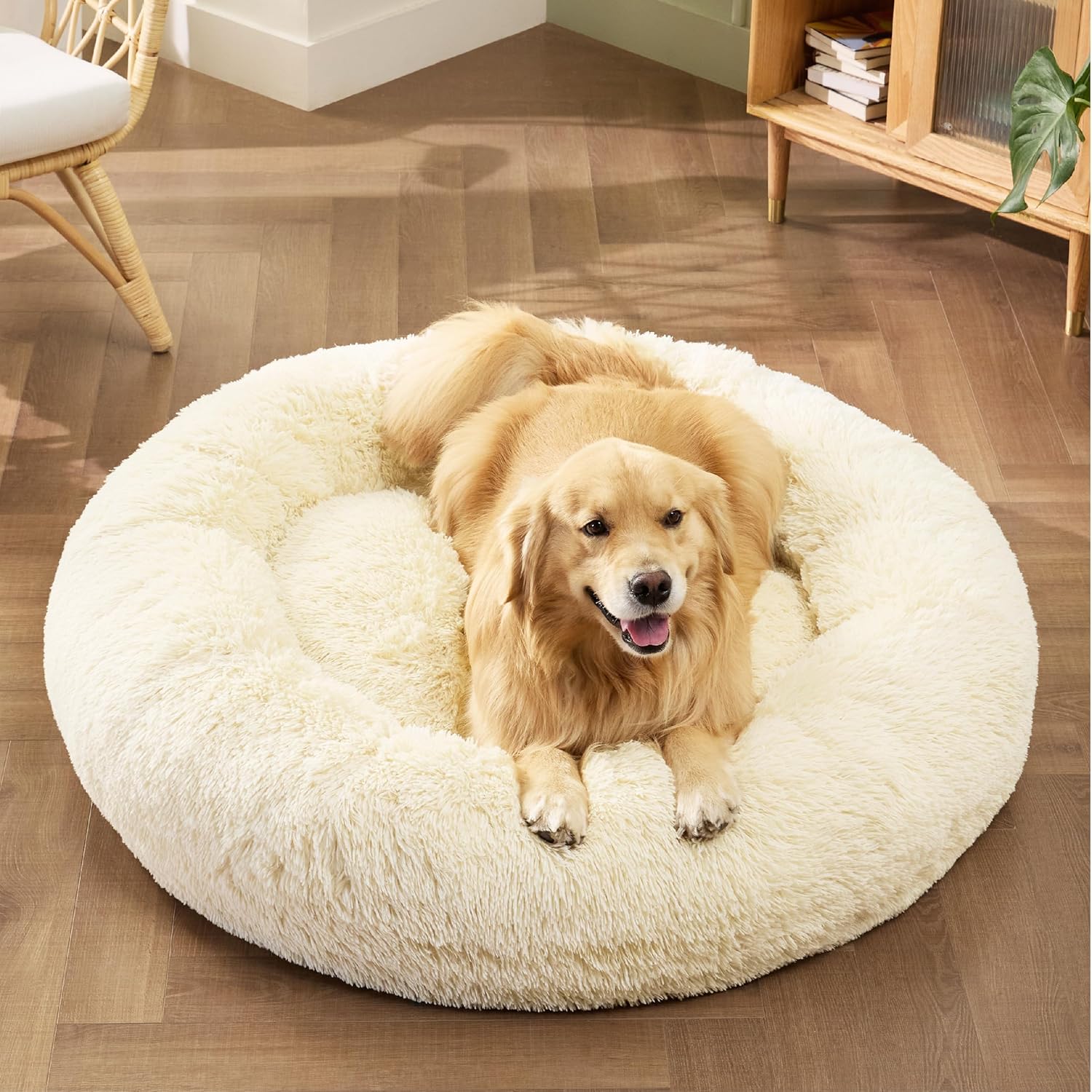 91l0UvtDpsL._AC_SL1500_.jpg 91l0UvtDpsL._AC_SL1500_.jpg