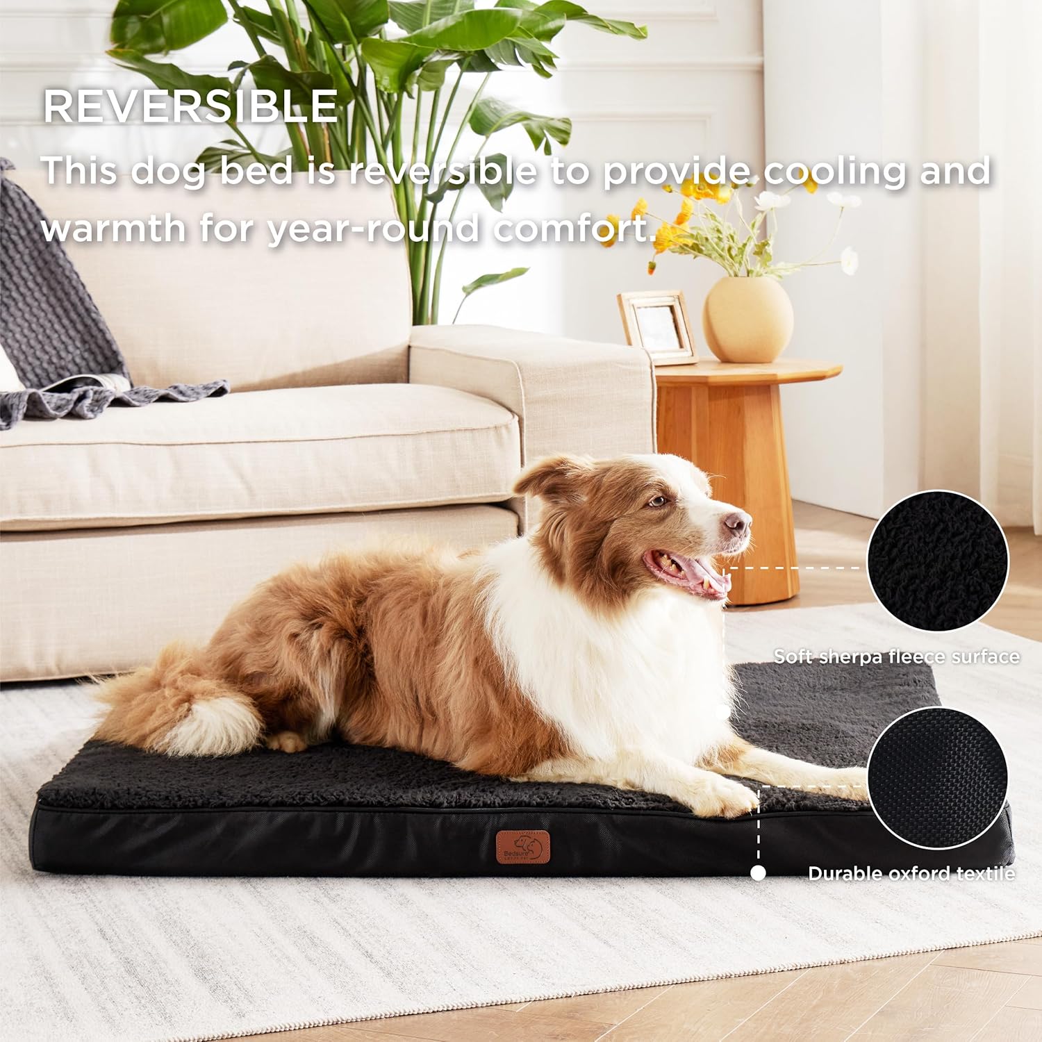 91loUMBiZRL._AC_SL1500_.jpg 91loUMBiZRL._AC_SL1500_.jpg