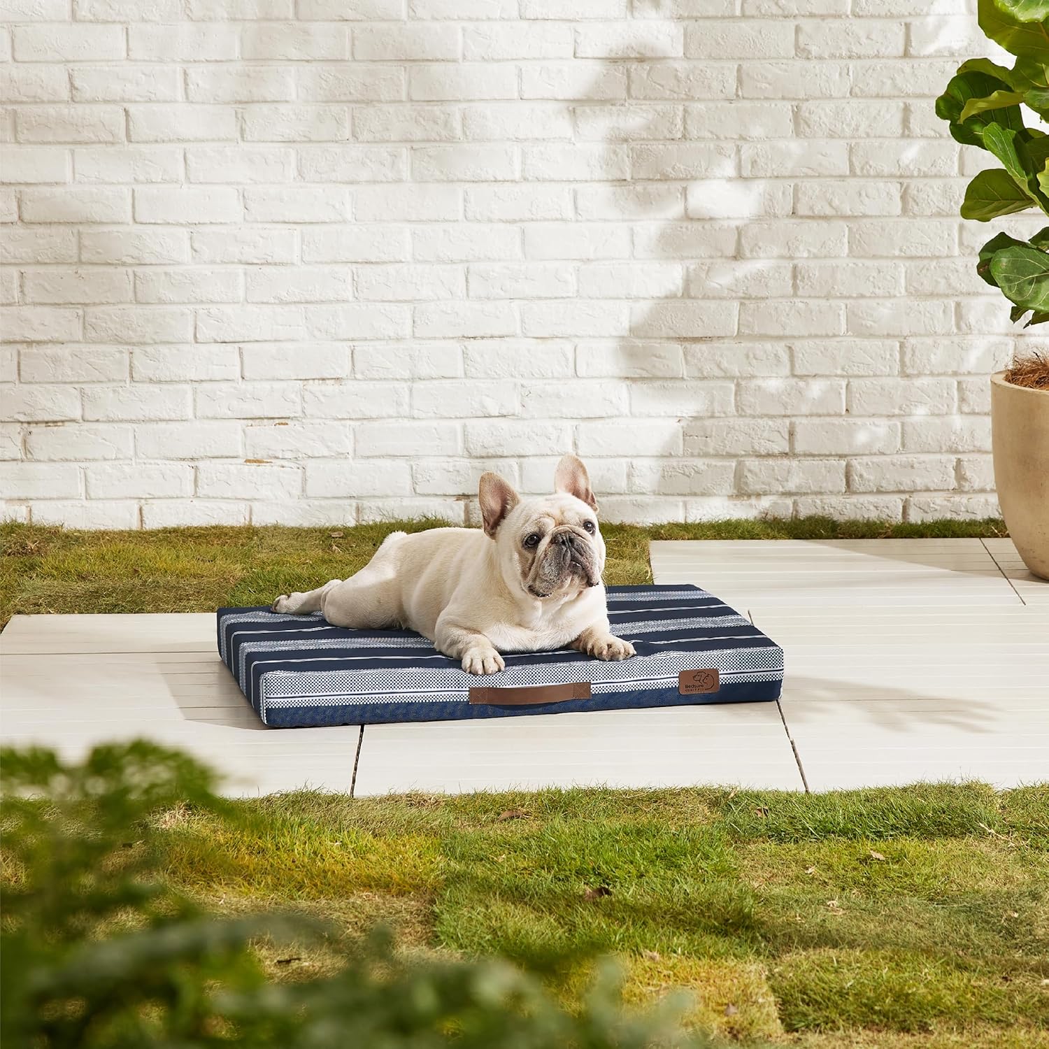 91o39OavfL._AC_SL1500_.jpg 91o39OavfL._AC_SL1500_.jpg