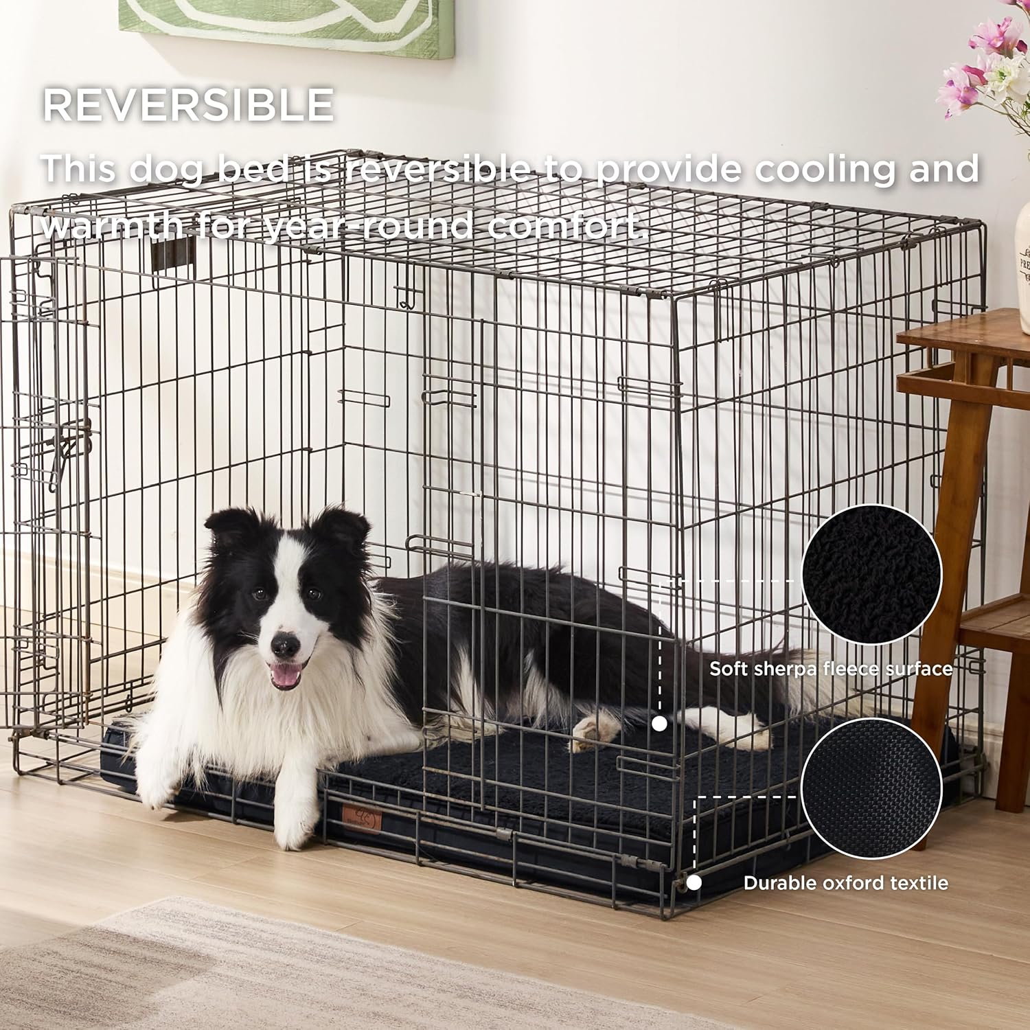 91pbqrTa6dL._AC_SL1500_.jpg 91pbqrTa6dL._AC_SL1500_.jpg