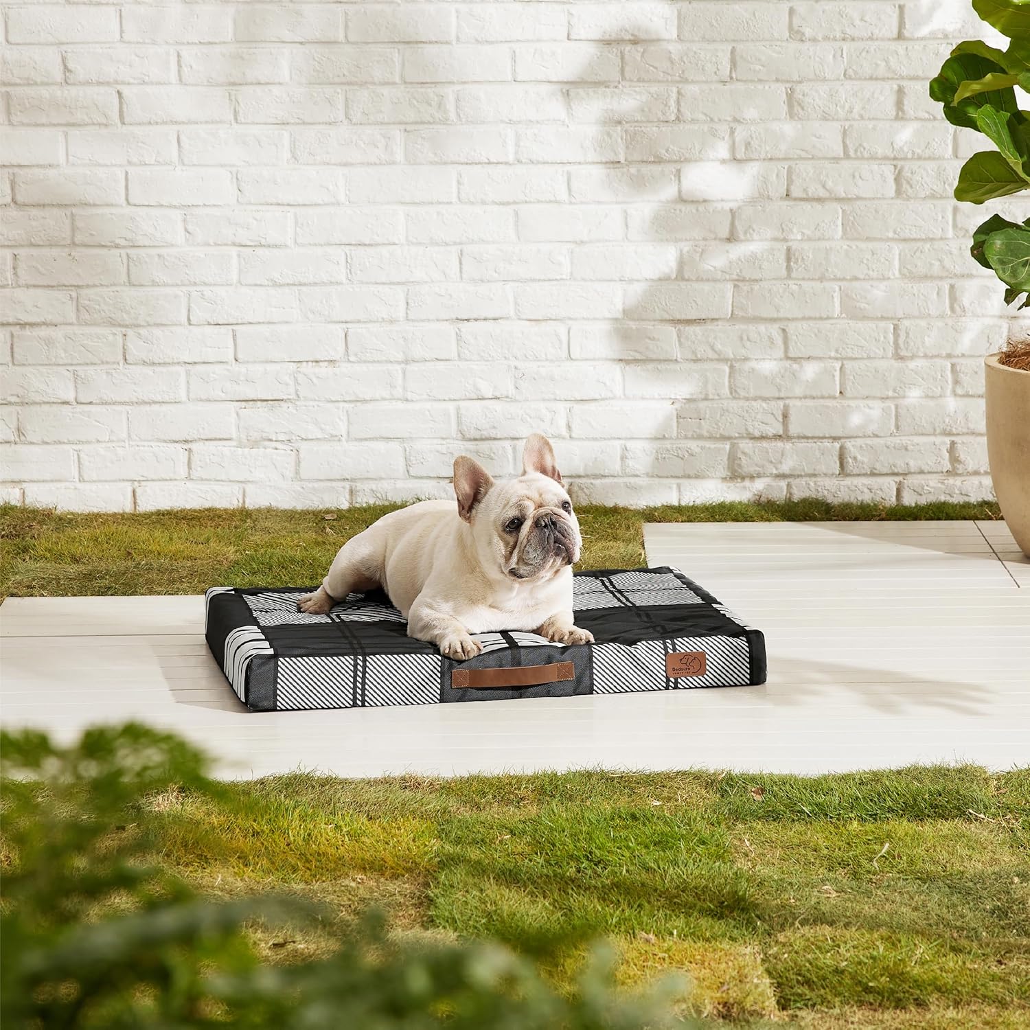 91rlstB7QKL._AC_SL1500_.jpg 91rlstB7QKL._AC_SL1500_.jpg