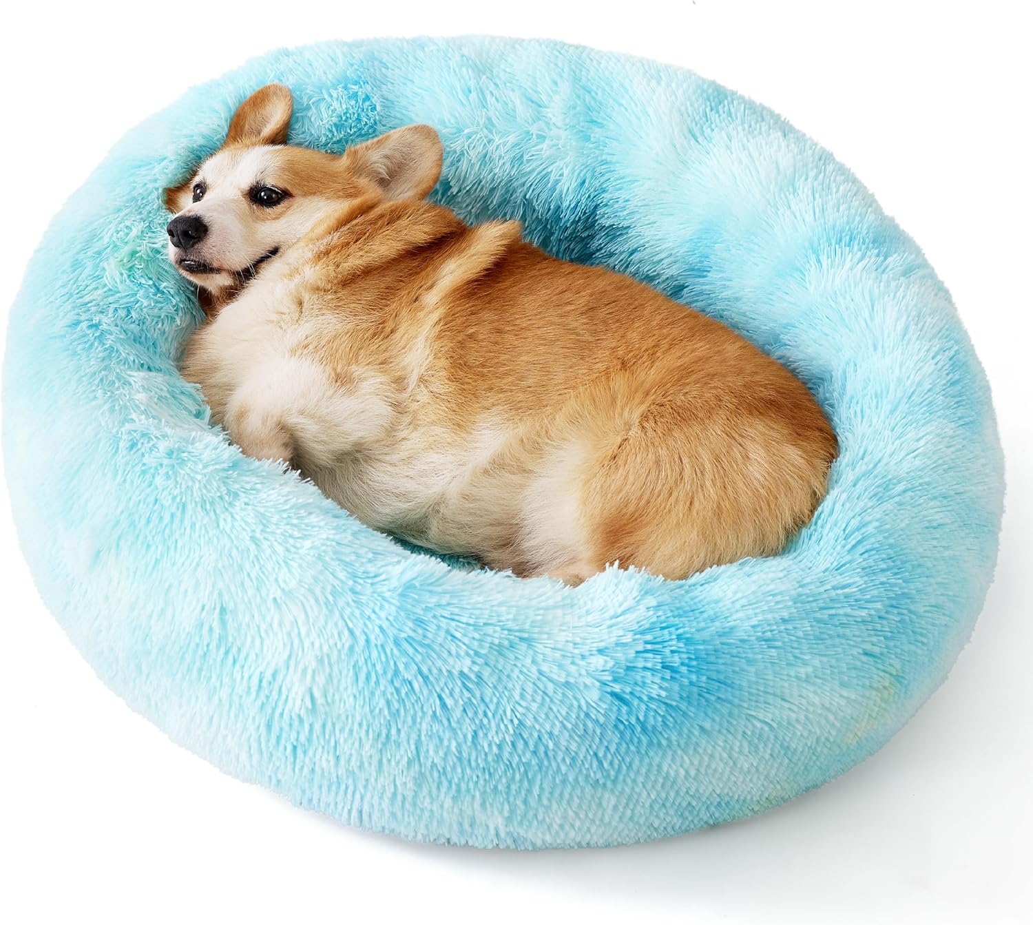 91s1D5WJcAL._AC_SL1500_.jpg 91s1D5WJcAL._AC_SL1500_.jpg