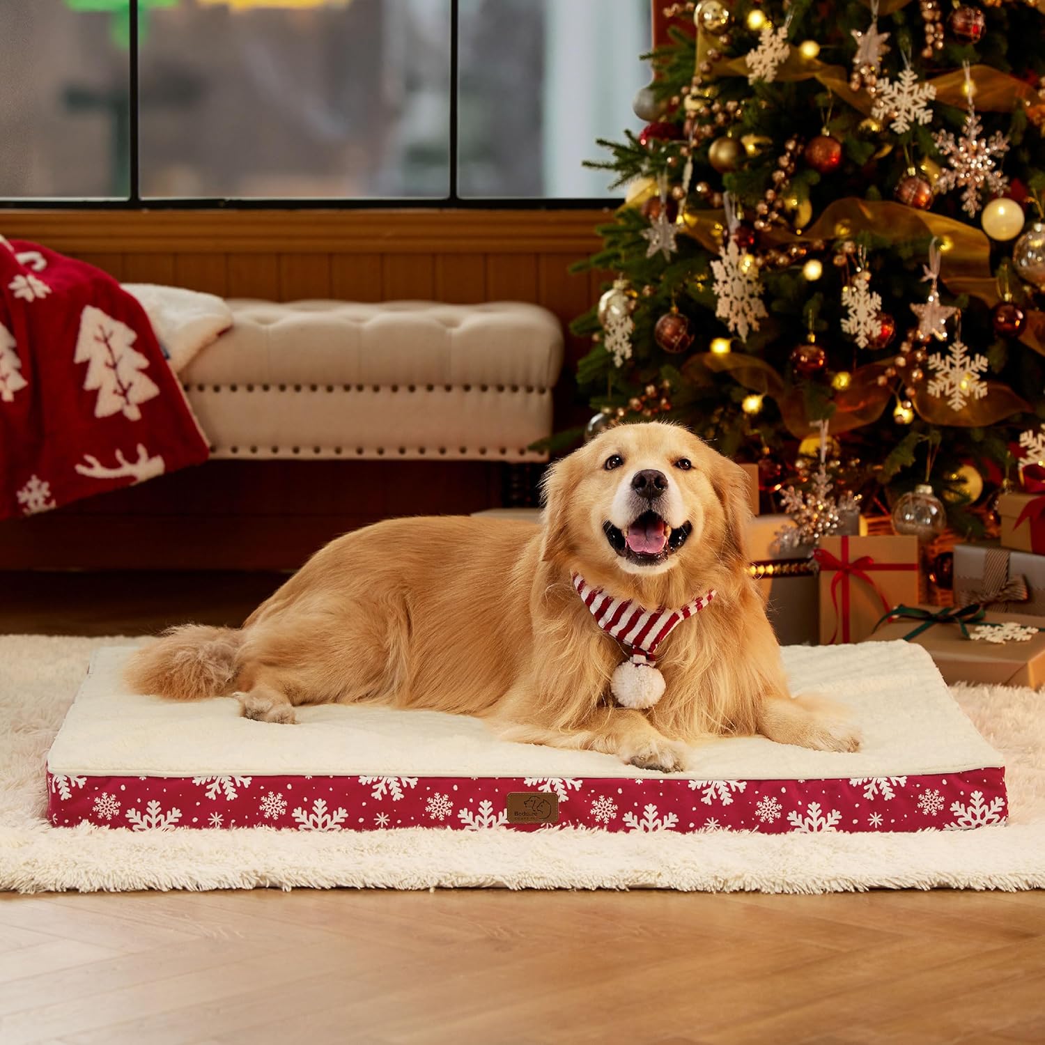 91sla6TFtdL._AC_SL1500_.jpg 91sla6TFtdL._AC_SL1500_.jpg