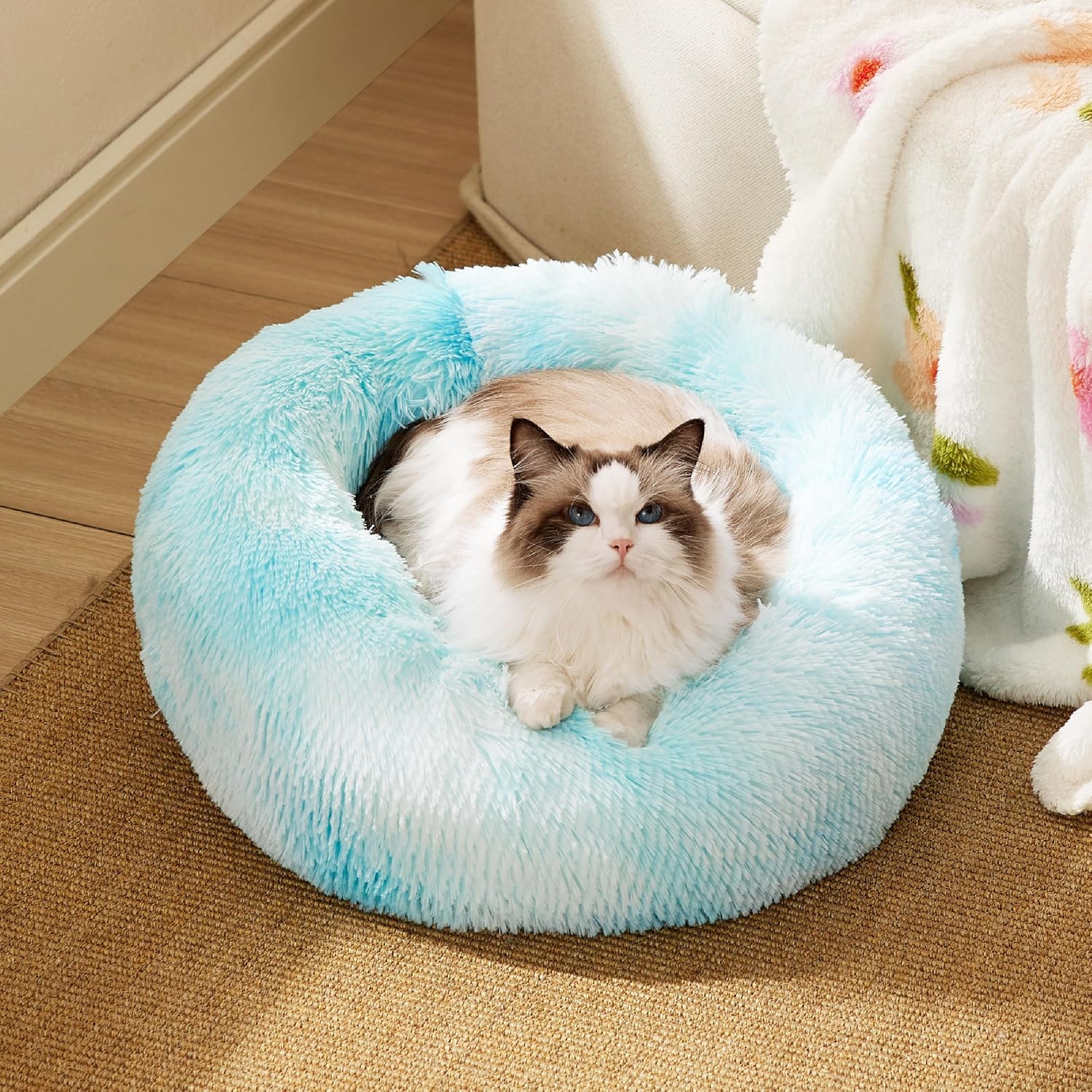 91uiXUtKIiL._AC_SL1500_-2.jpg 91uiXUtKIiL._AC_SL1500_-2.jpg