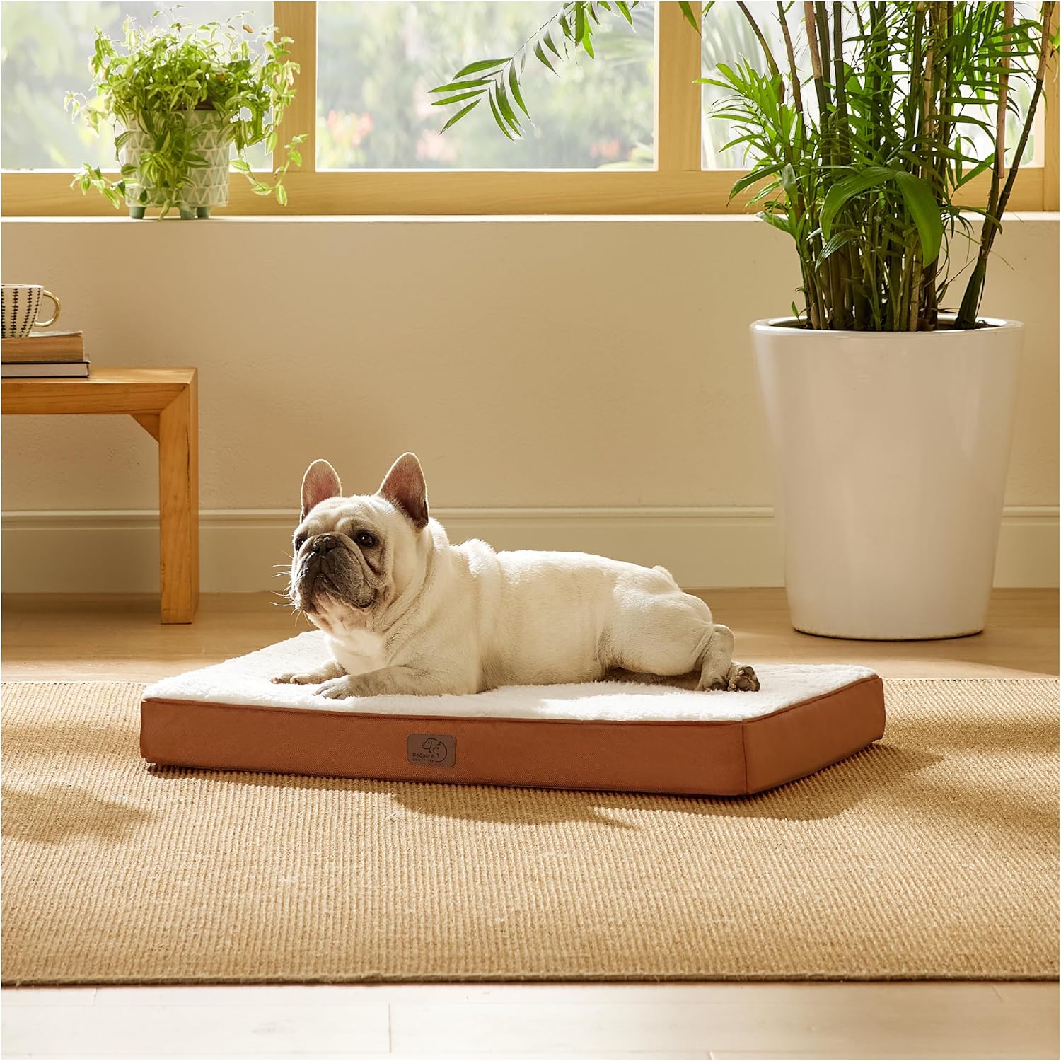 91wDmT1uekL._AC_SL1500_.jpg 91wDmT1uekL._AC_SL1500_.jpg