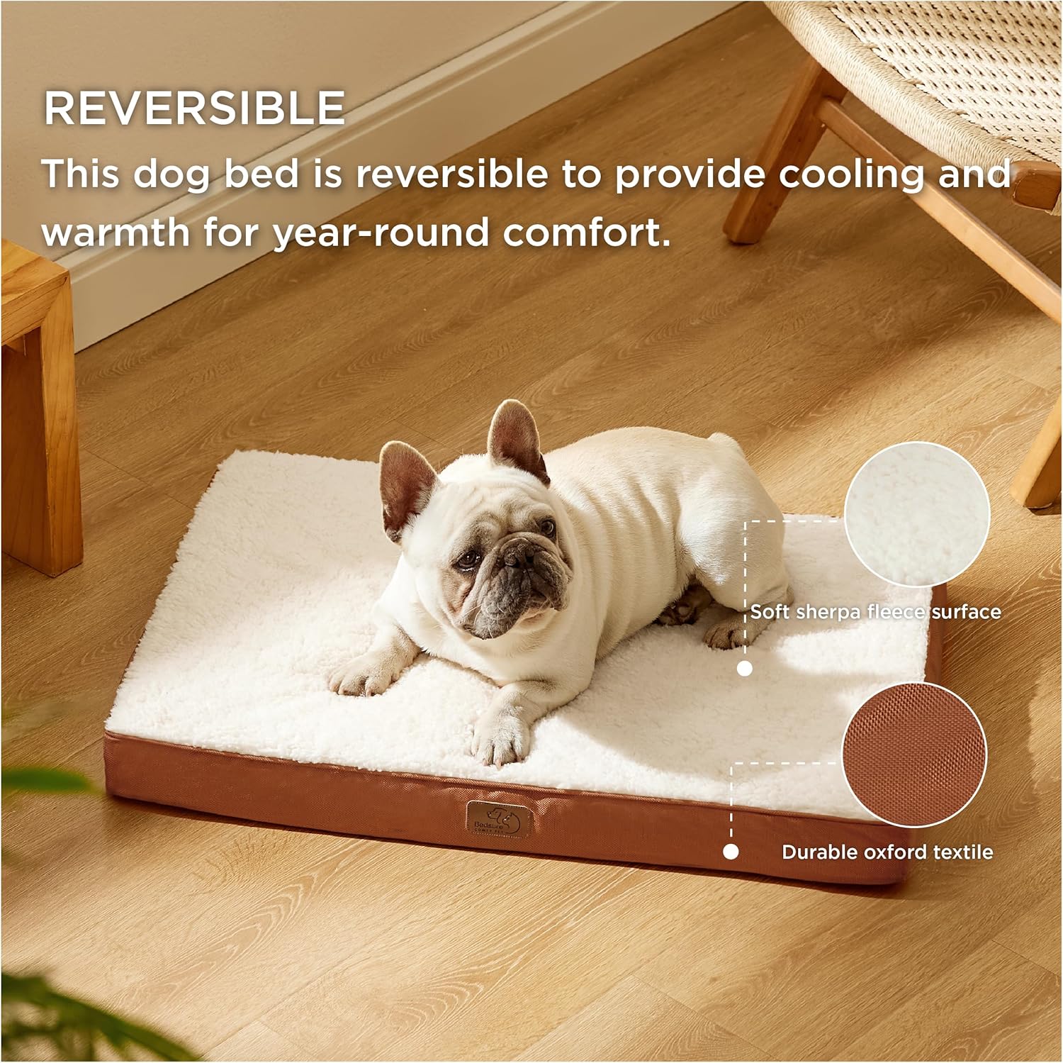 91wEJsxnAXL._AC_SL1500_.jpg 91wEJsxnAXL._AC_SL1500_.jpg