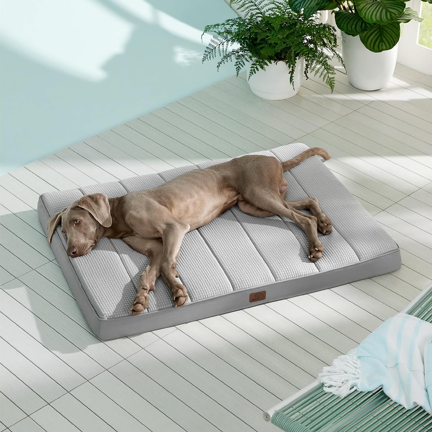 91whTKtgqL._AC_SL1500_.jpg 91whTKtgqL._AC_SL1500_.jpg