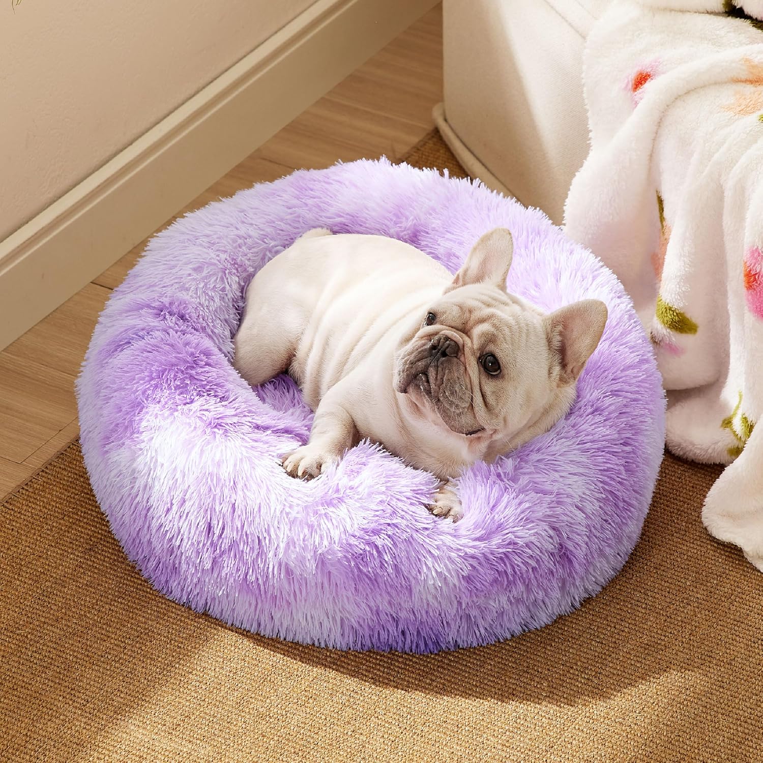 91xuEd1edsL._AC_SL1500_-2.jpg 91xuEd1edsL._AC_SL1500_-2.jpg