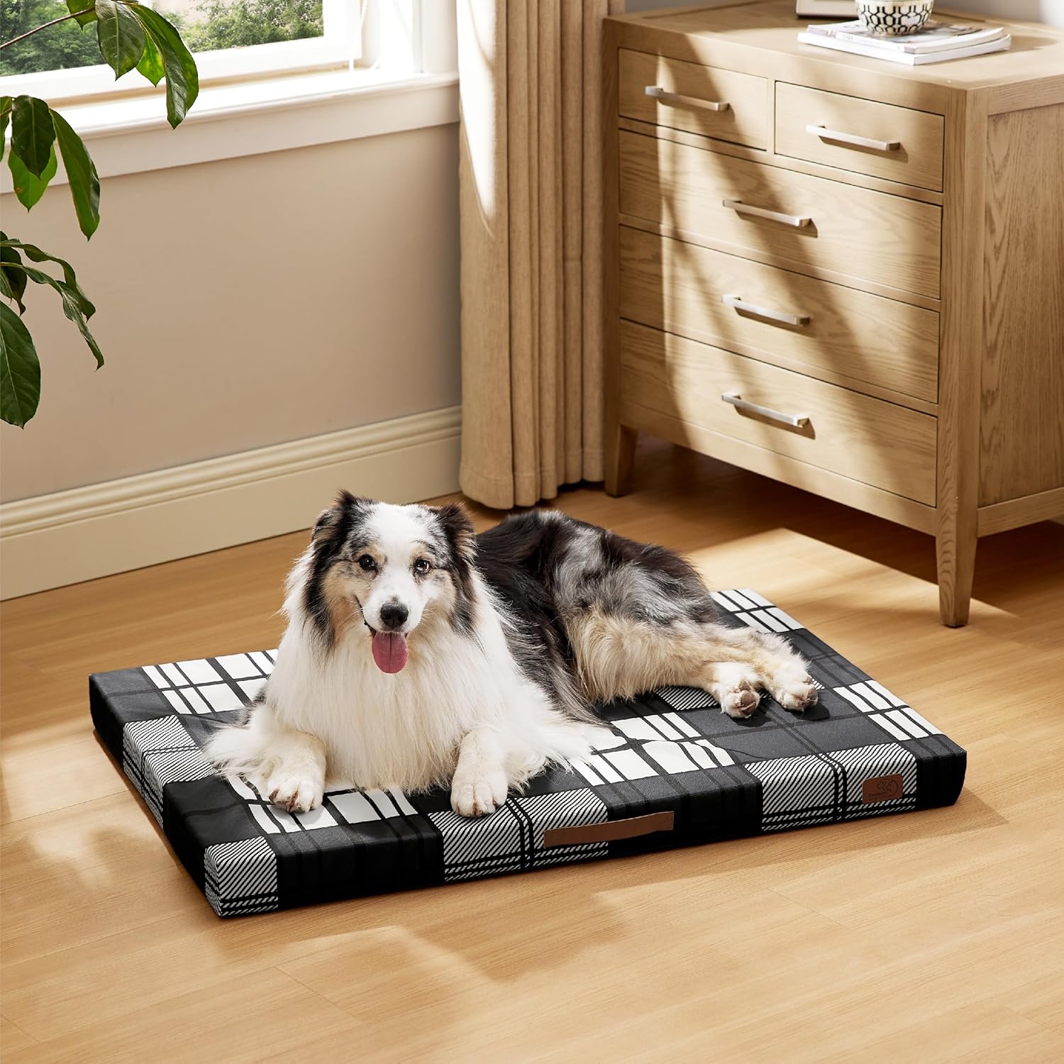 91xzf7aRxLL._AC_SL1500_.jpg 91xzf7aRxLL._AC_SL1500_.jpg