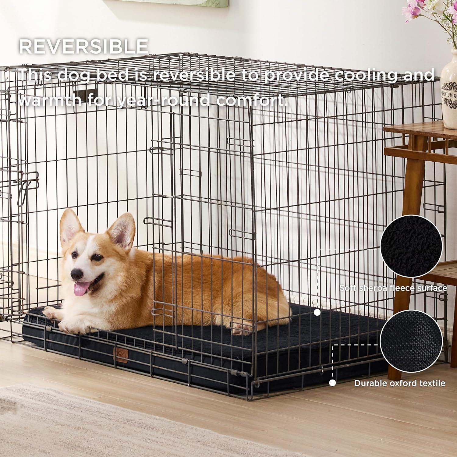 91zE0F8tGqL._AC_SL1500_.jpg 91zE0F8tGqL._AC_SL1500_.jpg