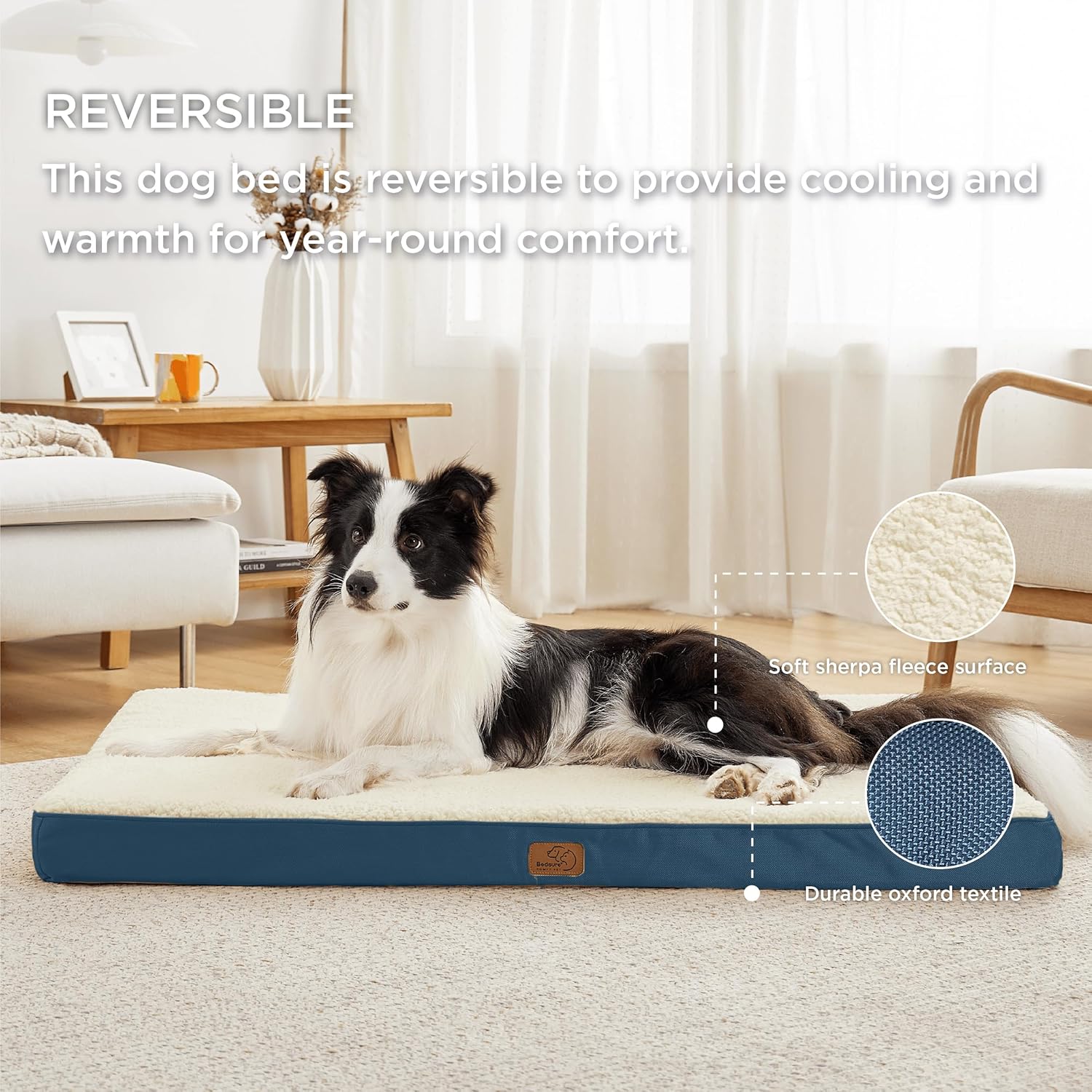 91zMUQKfNgL._AC_SL1500_.jpg 91zMUQKfNgL._AC_SL1500_.jpg