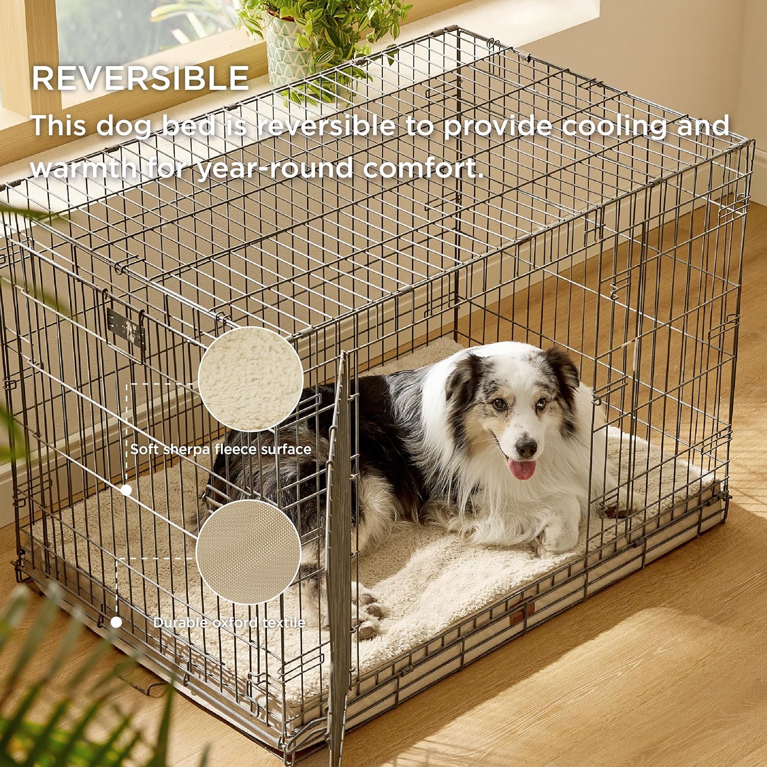 A1UKwrkQ50L._AC_SL1500_.jpg A1UKwrkQ50L._AC_SL1500_.jpg