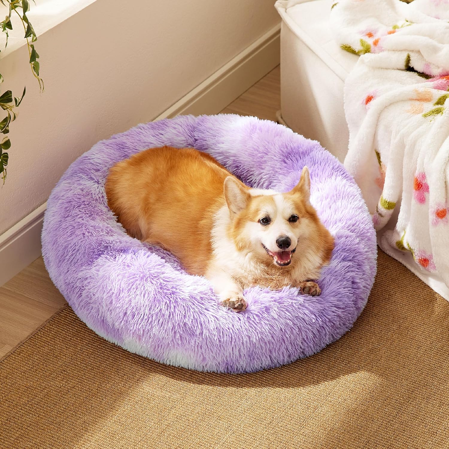 A1gCZ0zxwtL._AC_SL1500_-2.jpg A1gCZ0zxwtL._AC_SL1500_-2.jpg