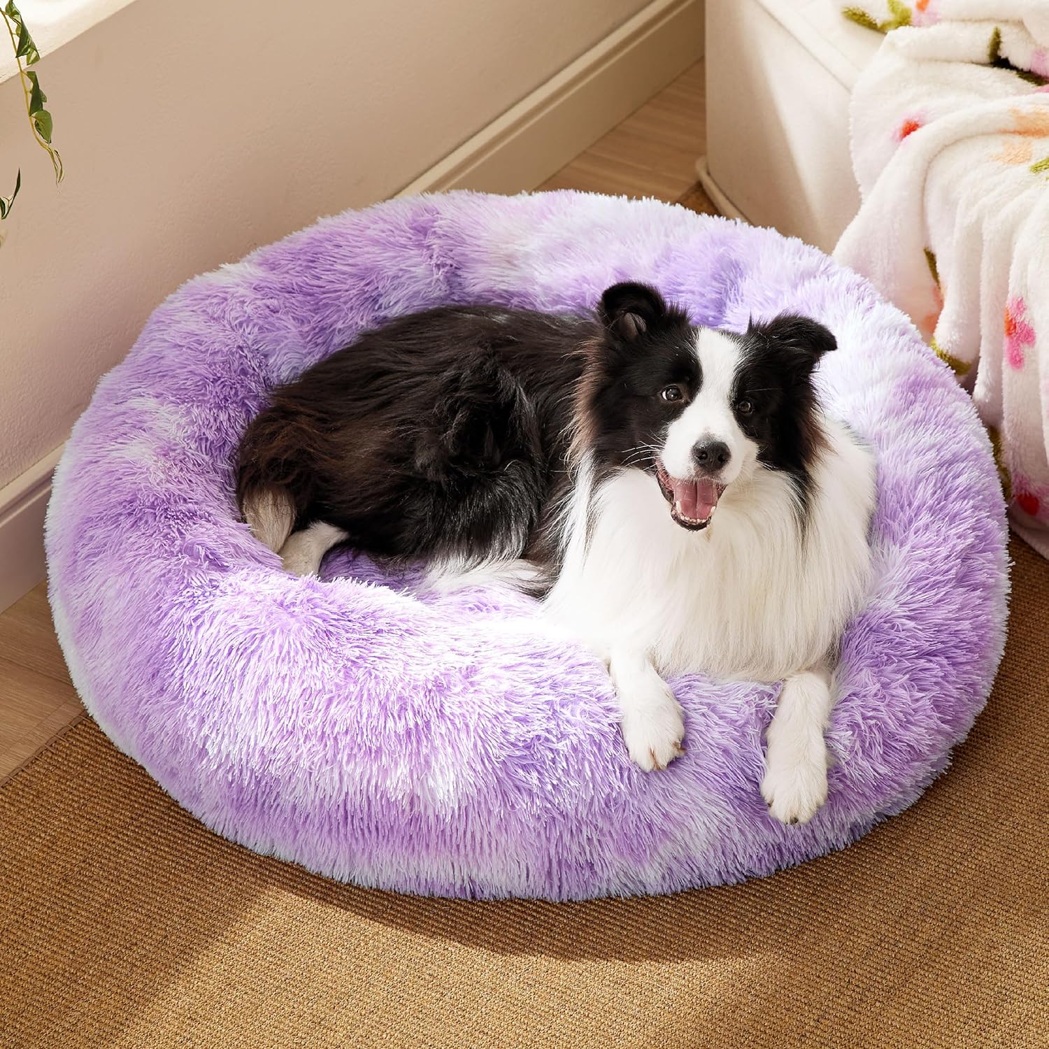 A1qBmest3VL._AC_SL1500_-2.jpg A1qBmest3VL._AC_SL1500_-2.jpg